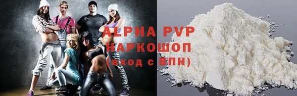 спиды Новодвинск